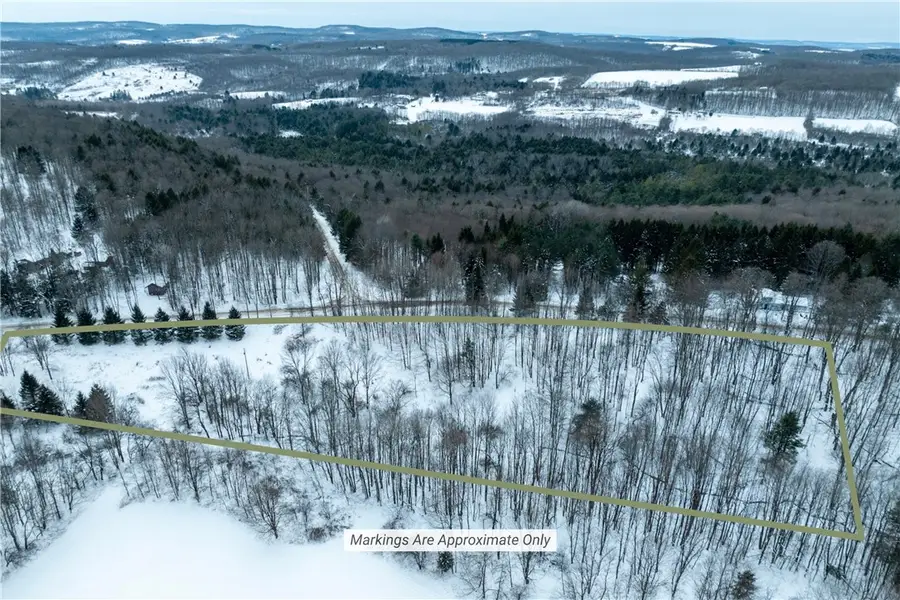 Lot 36 Spurr Street, New Berlin, NY 13411 - Image #3