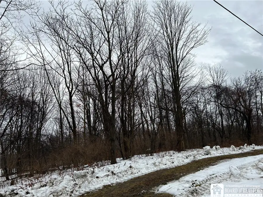 Alleghany Road E, Forestville, NY 14062 - #3