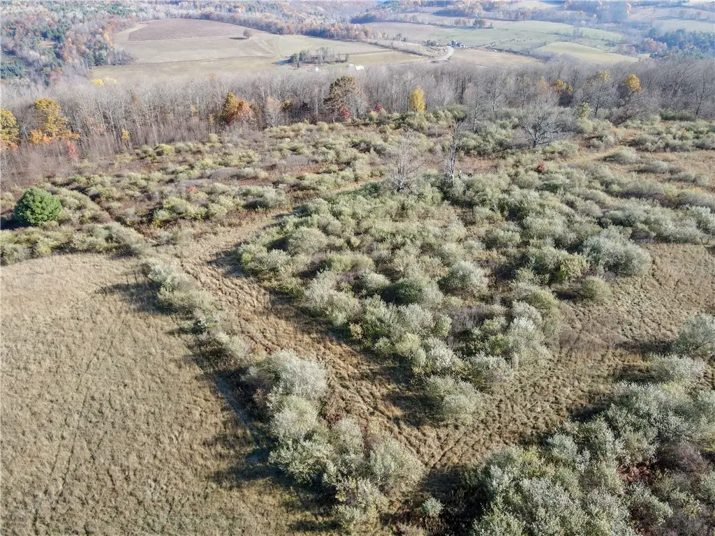 VL Lot 2 Williams Road, Addison, NY 14801 - Image #1