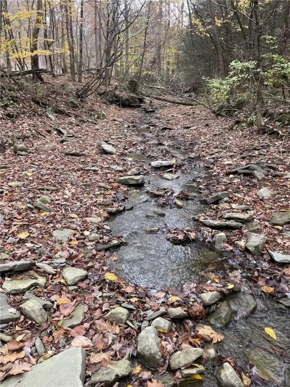 0 Parker Road, Campbell, NY 14821 - Image #1