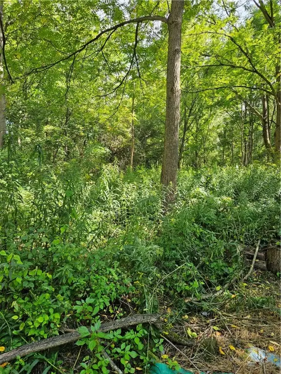 0 Lyons Marengo Road, Clyde, NY 14433