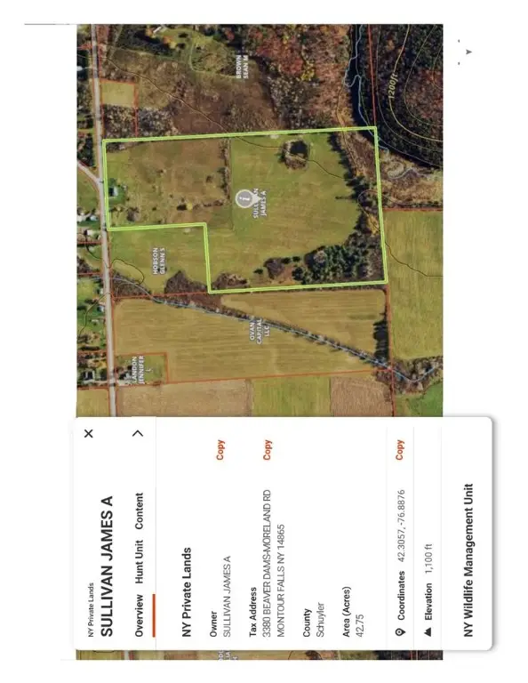 3380 Beaver Dams Moreland Road, Montour Falls, NY 14865 - Image #3