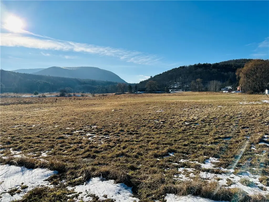 171 Cronk Lane, Roxbury, NY 12434 - Image #1