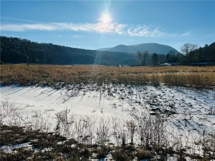 171 Cronk Lane, Roxbury, NY 12434 - Image #3