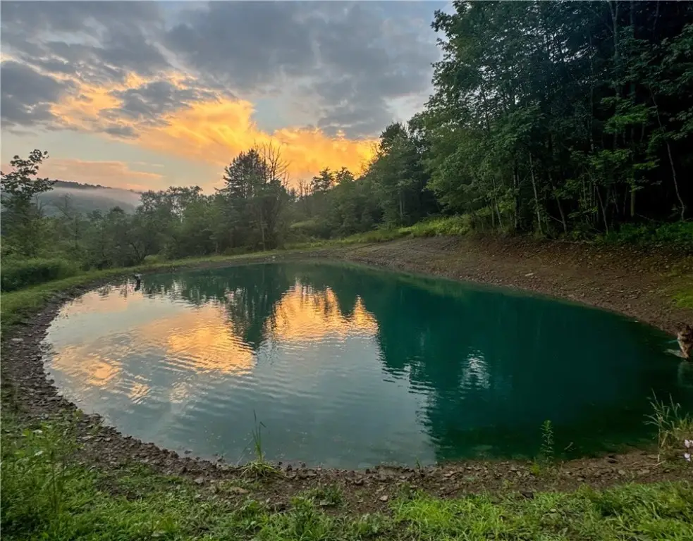 VL County Route 33, Bolivar, NY 14715 - Image #1