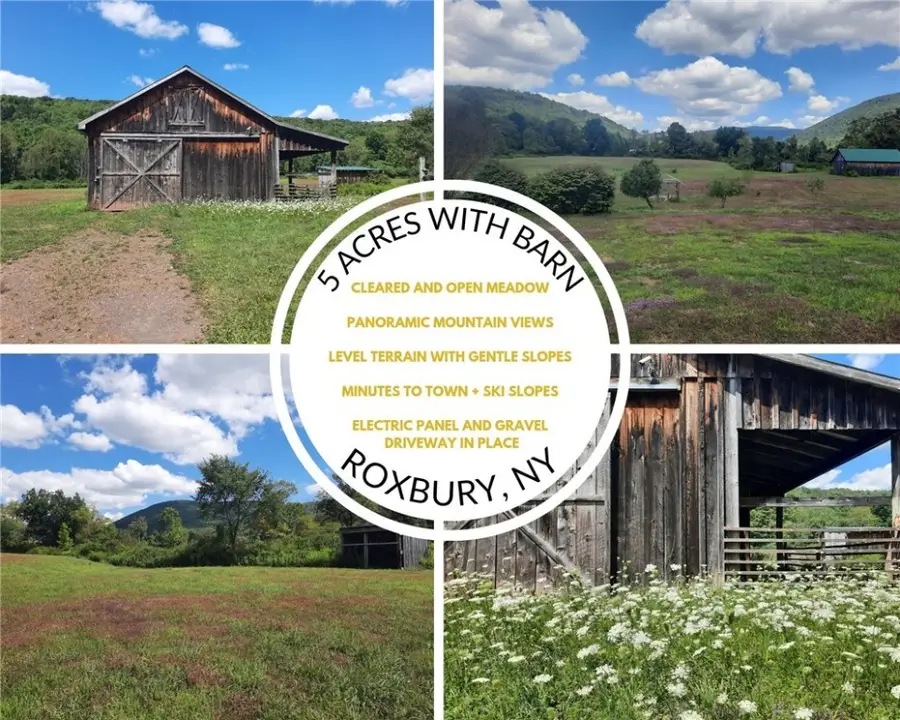 County Route 41, Roxbury, NY 12474 - Image #2