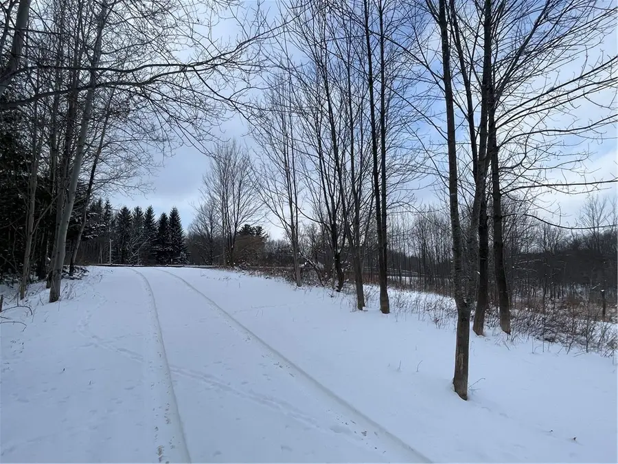 State Route 10, Jefferson, NY 12093 - Image #3