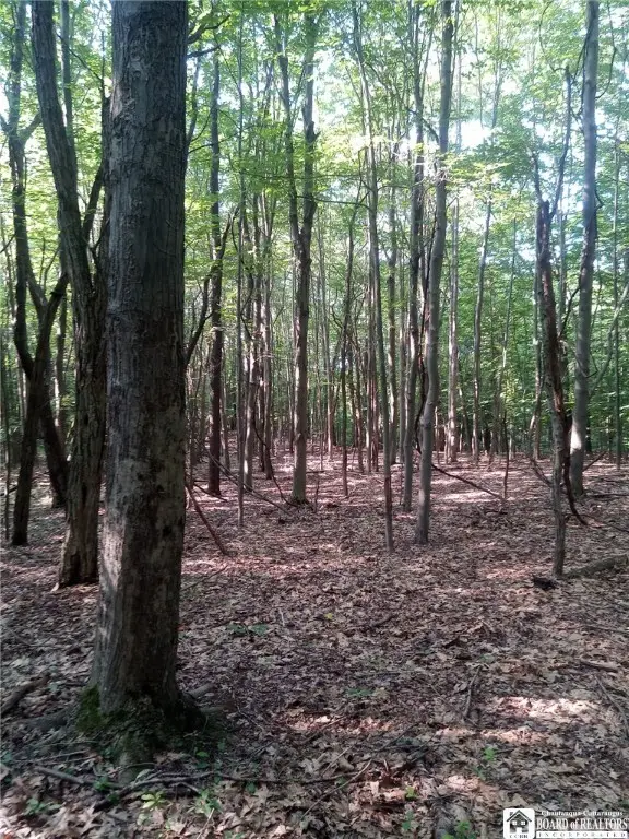 Chautauqua Rd, Pomfret, NY 14063 - Image #1