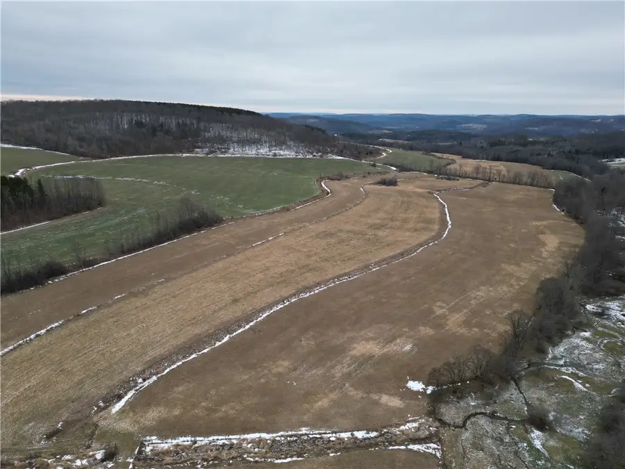 1300 County Route 82, Troupsburg, NY 14885 - Image #2