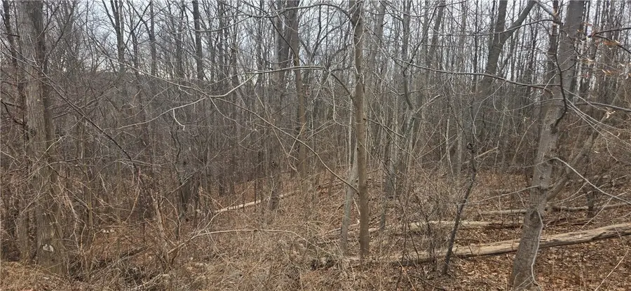 Cr-32 Road, Canandaigua, NY 14424 - Image #3