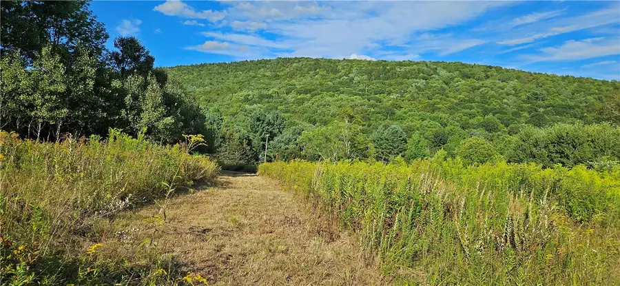 Shaver Hollow, Andes, NY 13731 - Image #3