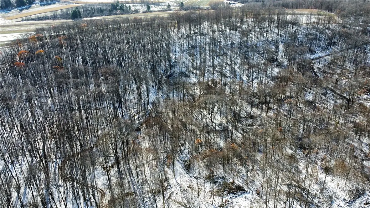 443 South Branch Rd, Coudersport, PA 16915 - Image #1