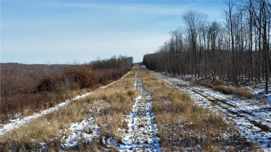 443 South Branch Rd, Coudersport, PA 16915 - Image #3