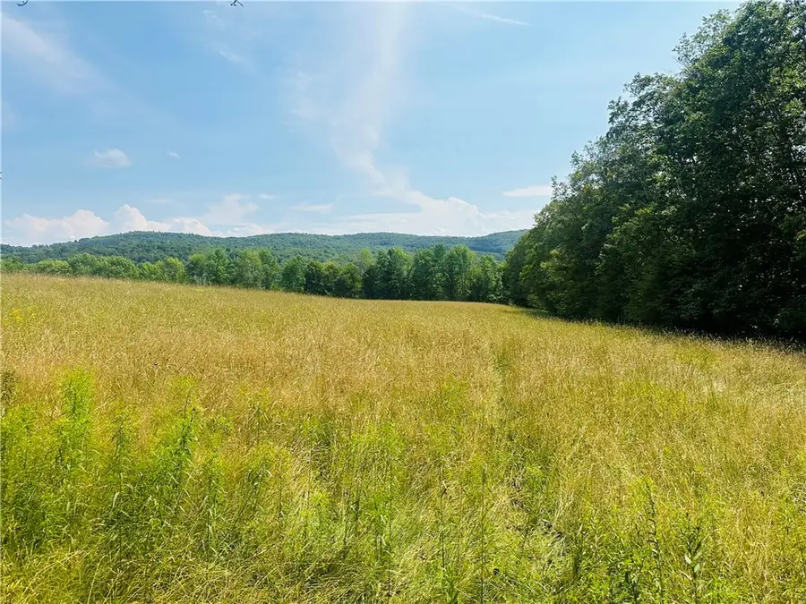 1947 Herrick Hollow Road, Sidney Center, NY 13804 - Image #3