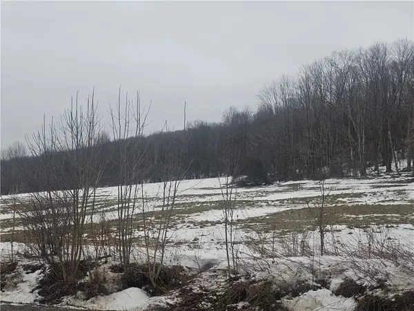 Thornton Road, Cherry Creek, NY 14723