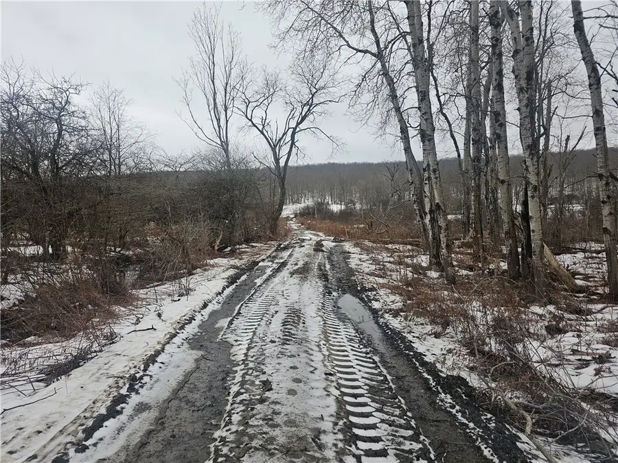 Thornton Road, Cherry Creek, NY 14723 - Image #2