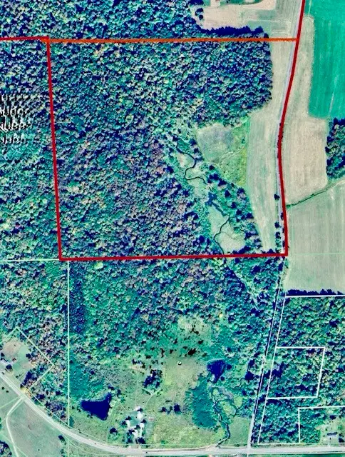 377 Stead Road, South New Berlin, NY 13843