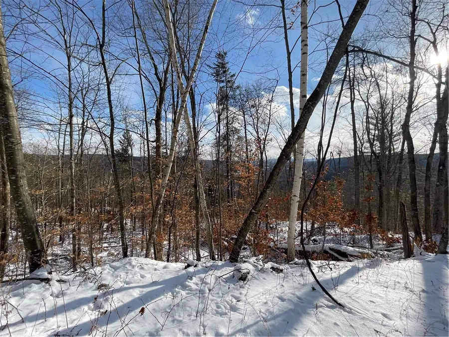 15 Silver Mine Road, North Blenheim, NY 12131 - Image #3