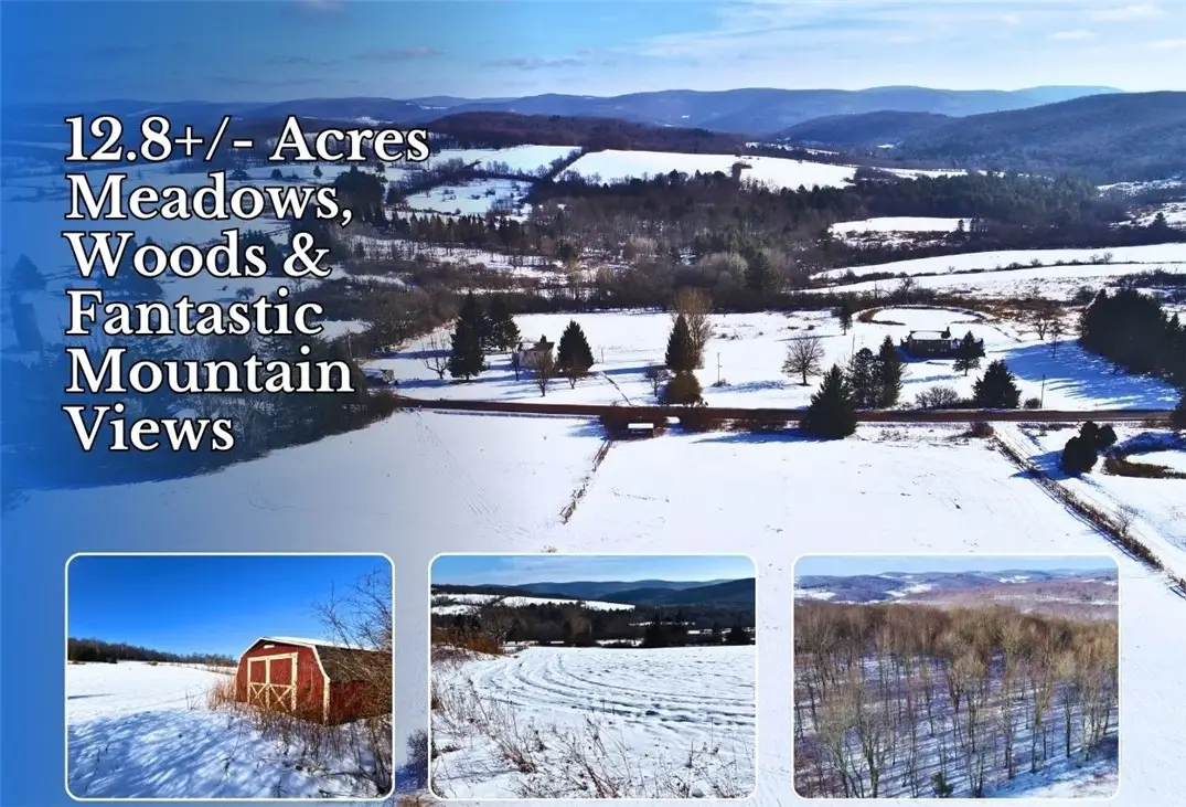 Lot 41-42 Hamden Hill Road, Hamden, NY 13782 - Image #1