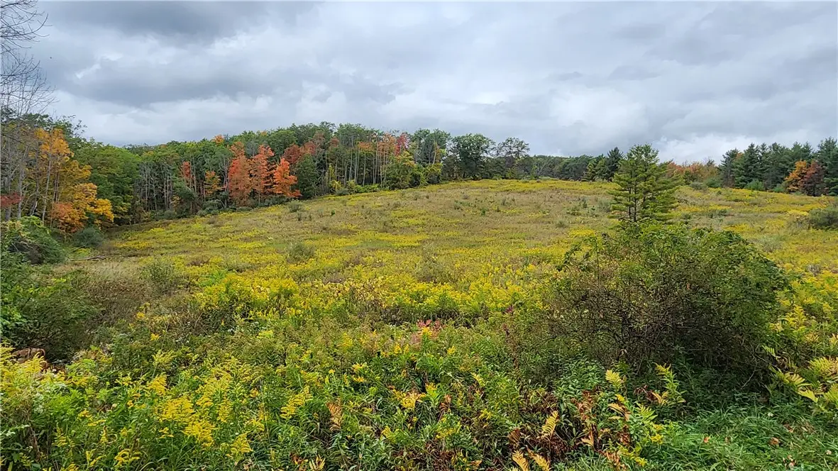 Hanyon Road, Canisteo, NY 14823 - Image #1