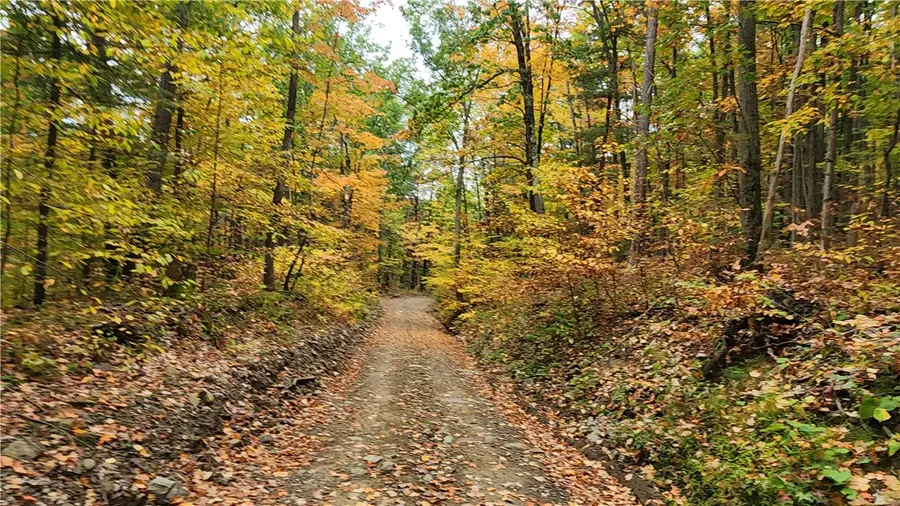 Hanyon Road, Canisteo, NY 14823 - Image #3