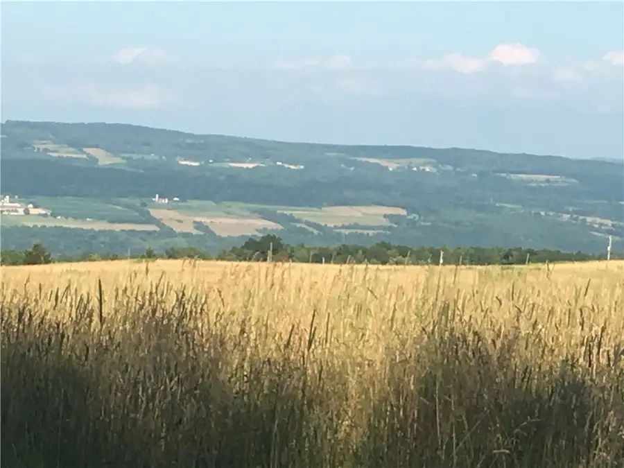 Van Dyke Road, Watkins Glen, NY 14891 - Image #2