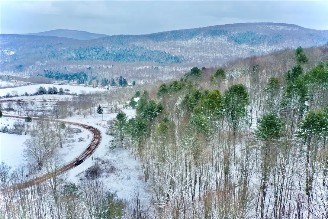 Quail Ridge Road, Margaretville, NY 12455 - Image #1
