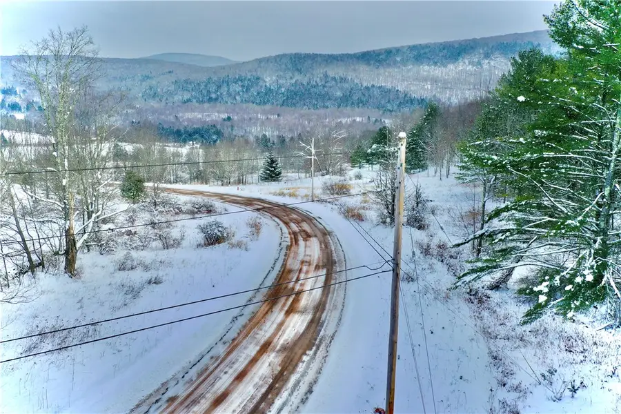 Quail Ridge Road, Margaretville, NY 12455 - Image #3