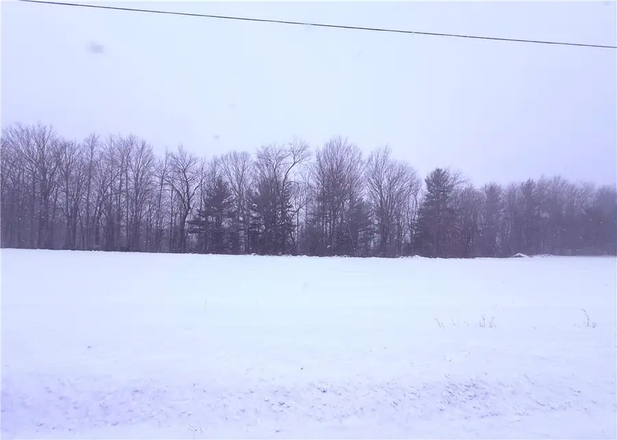 Pennycook Road, Hunt, NY 14846 - Image #3