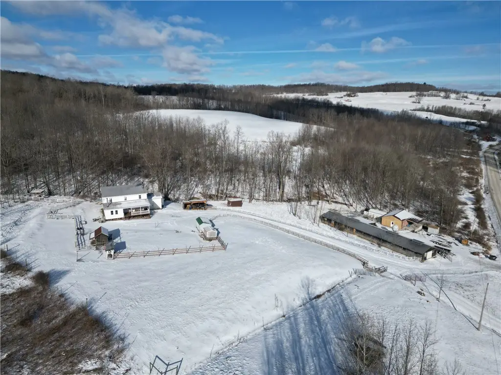 3533 County Route 82, Troupsburg, NY 14885 - Image #1