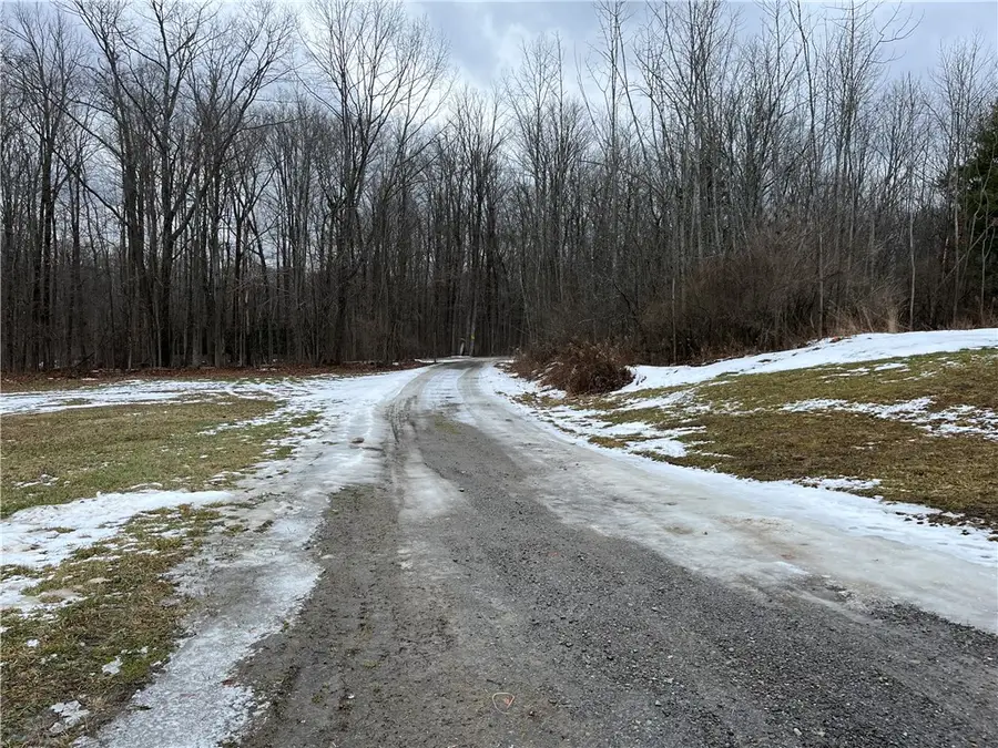 8970 Cook Road, Almond Town, NY 14804 - Image #3