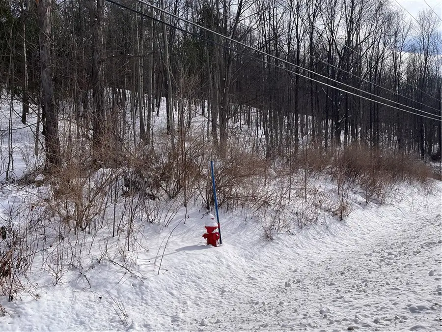 0 Rt-64, Canandaigua, NY 14424 - Image #2