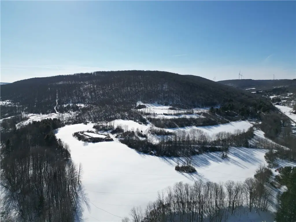 County Route 60, Greenwood, NY 14839 - #1