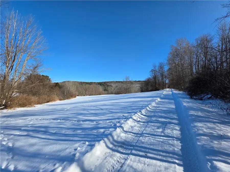 County Route 60, Greenwood, NY 14839 - #3