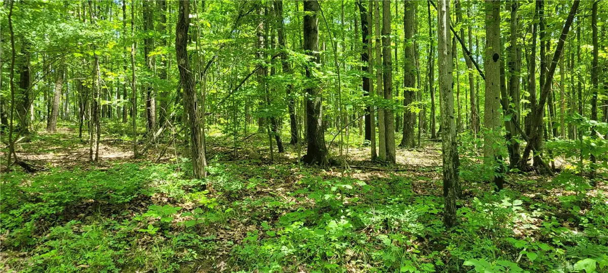 Hagerman Road, Chemung, NY 14825 - #1