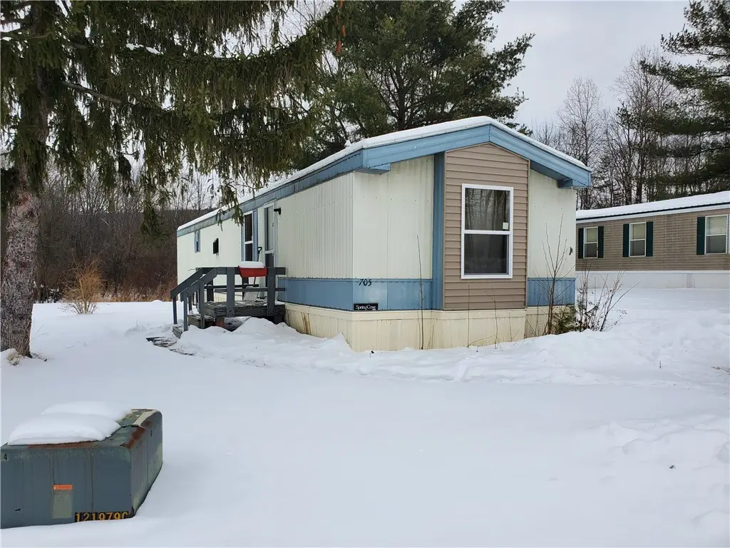 705 Mussell Street, Ithaca, NY 14850 - #1