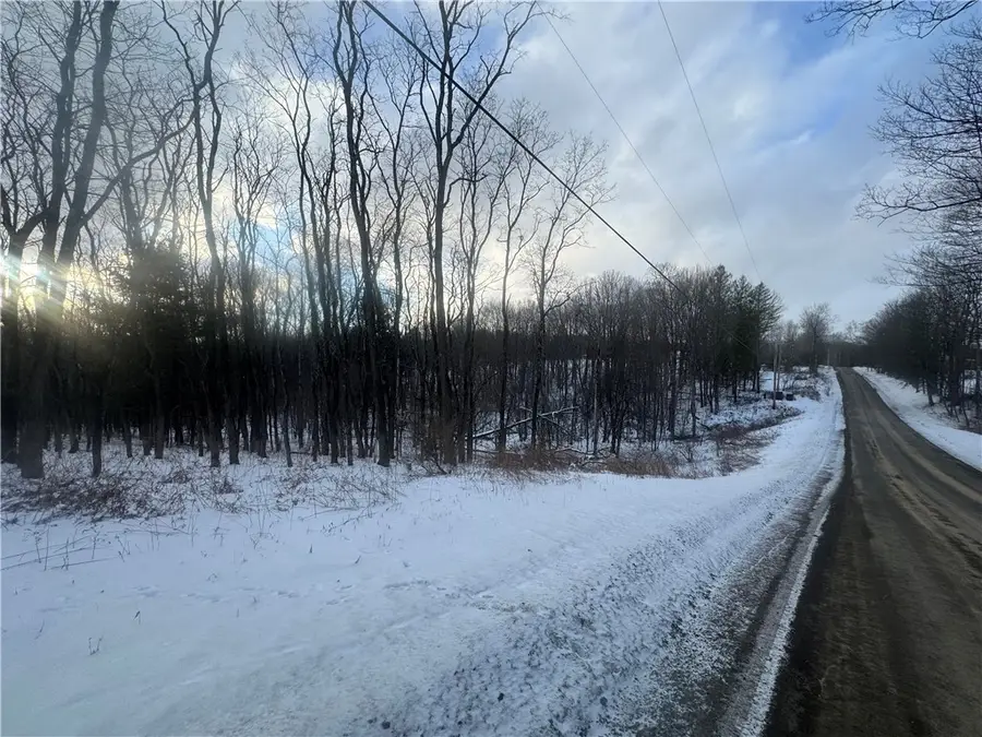 100 Balantic Hill Road, Laurens, NY 13796 - #3