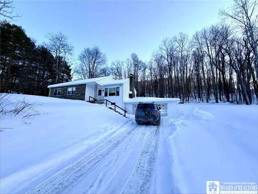 5801 Leonard Run Road, Limestone, NY 14753 - #3