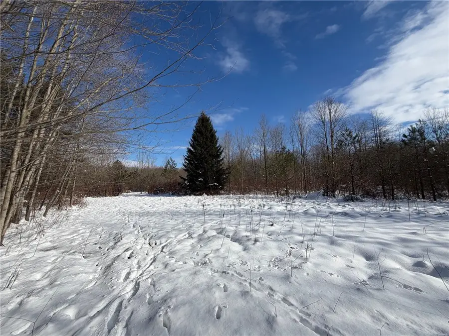 New Jerusalem Road, Angola, NY 14006 - #2