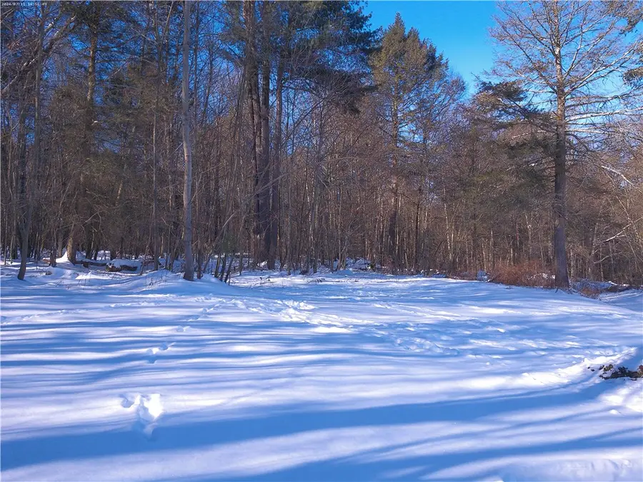 Bettsburg Road, Afton, NY 13730 - #3