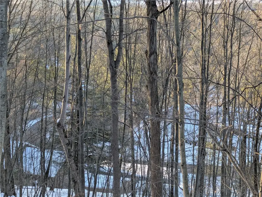 0 Oak Brook Drive, Ithaca, NY 14850 - #3