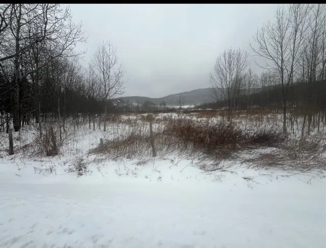 Narrow Notch Road, Stamford, NY 12167 - #2