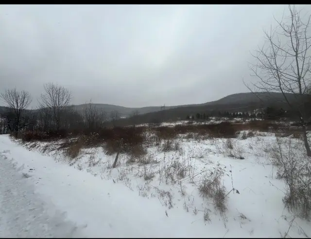 Narrow Notch Road, Stamford, NY 12167 - #3