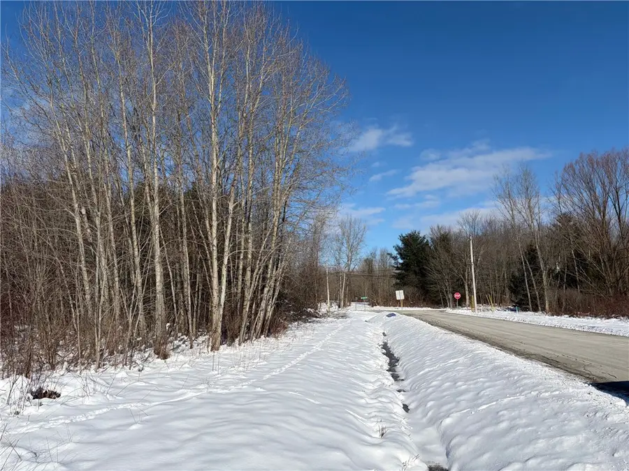 Carpenter Road, Angola, NY 14006 - #3