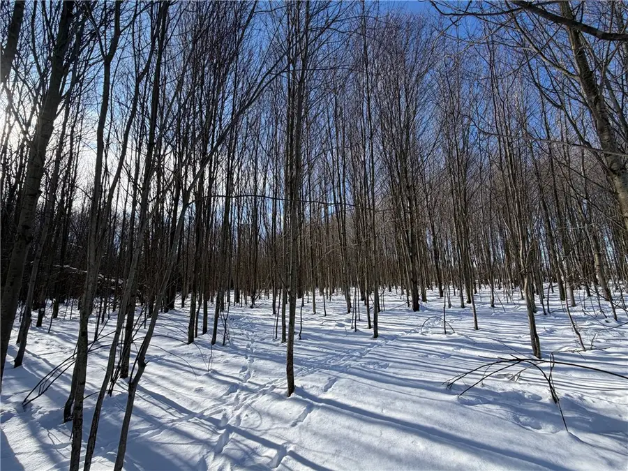 0 Carpenter Road, Angola, NY 14006 - #2