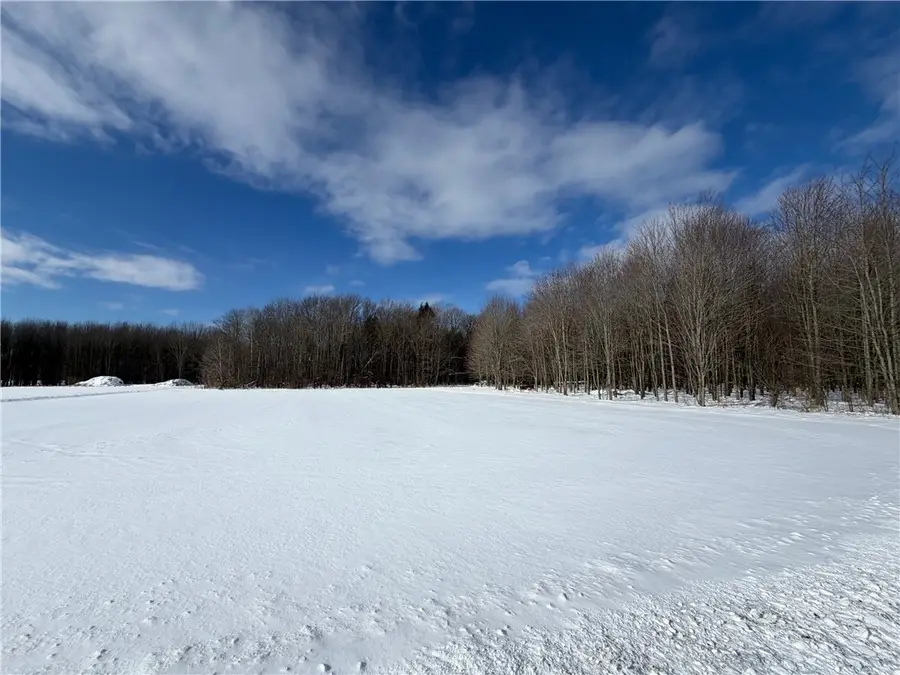 Carpenter Road, Angola, NY 14006 - #2