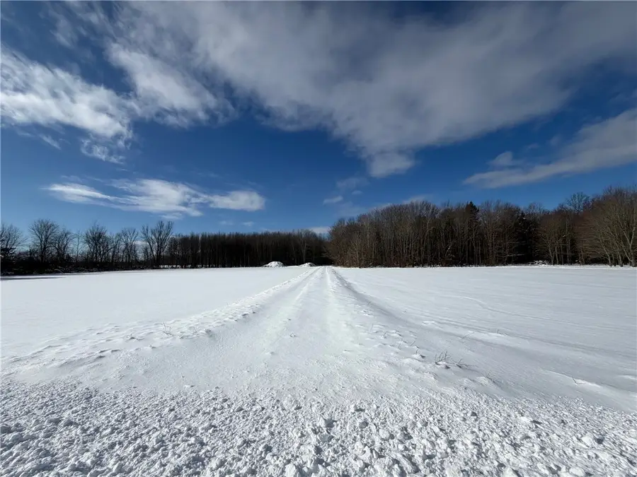 Carpenter Road, Angola, NY 14006 - #3