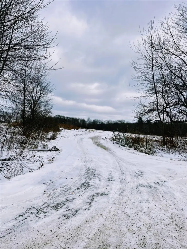 362 Brown Gale Road #E, Mc Donough, NY 13801 - #3