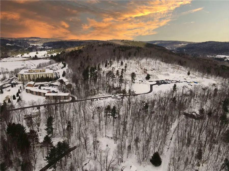 18 Carson Road, Oneonta, NY 13820 - #2