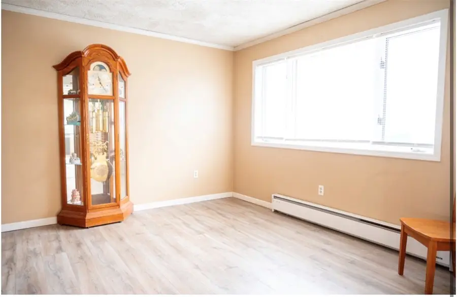 8234 Lisman Lane, Arkport, NY 14807 - #3